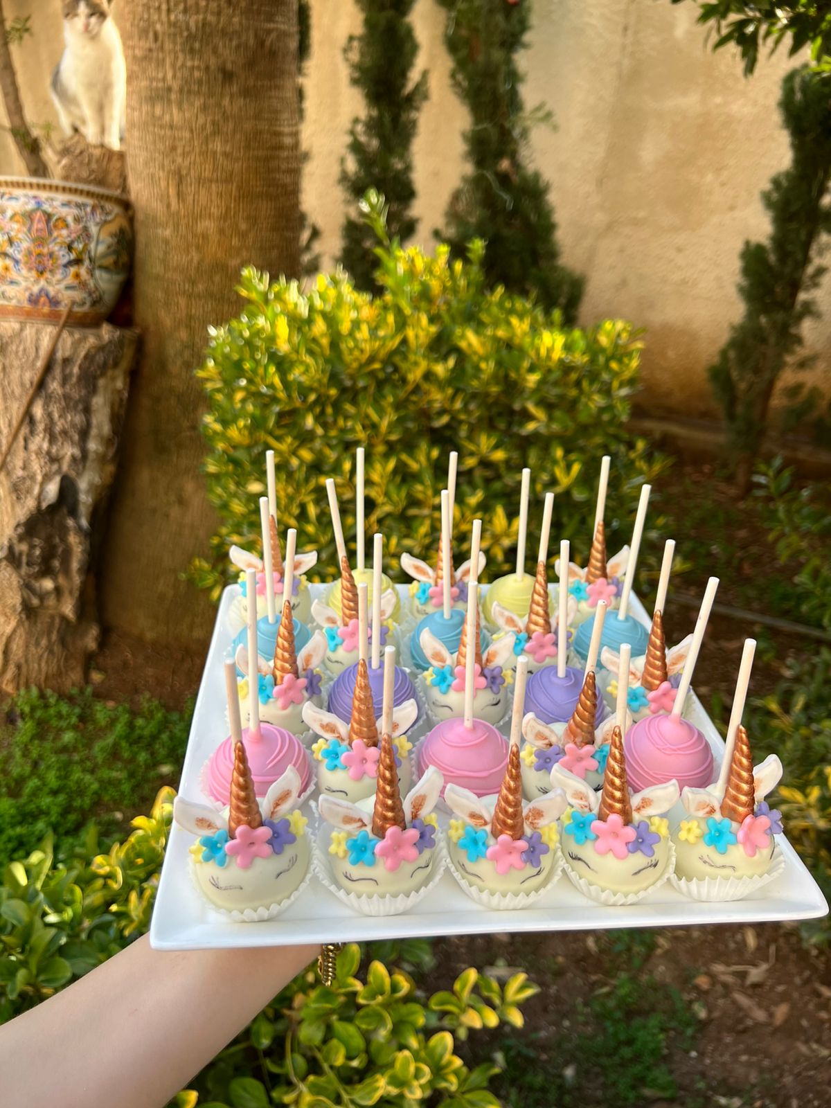 Individual Cake Pop 5